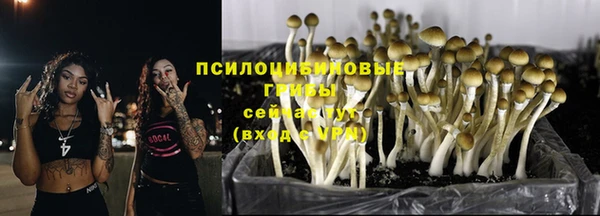 гидра Богданович