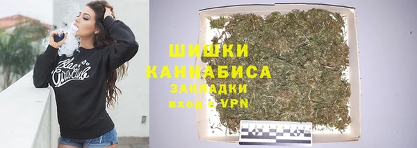 гидра Богданович
