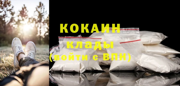 COCAINE Богородицк