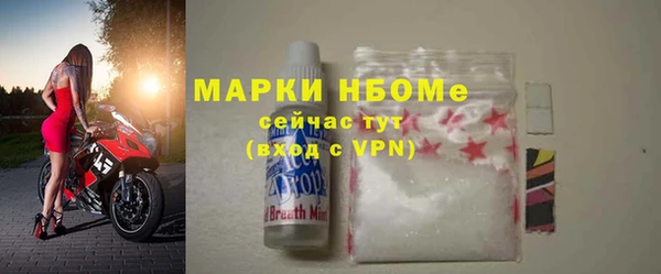 гидра Богданович