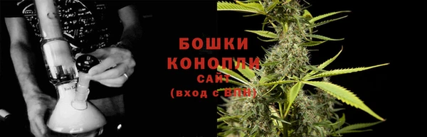гидра Богданович