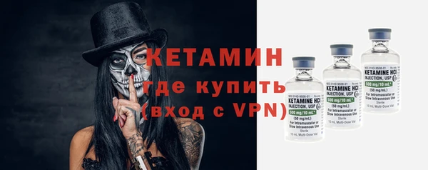 гидра Богданович