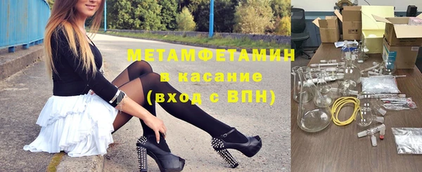 гидра Богданович