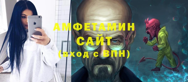 гидра Богданович